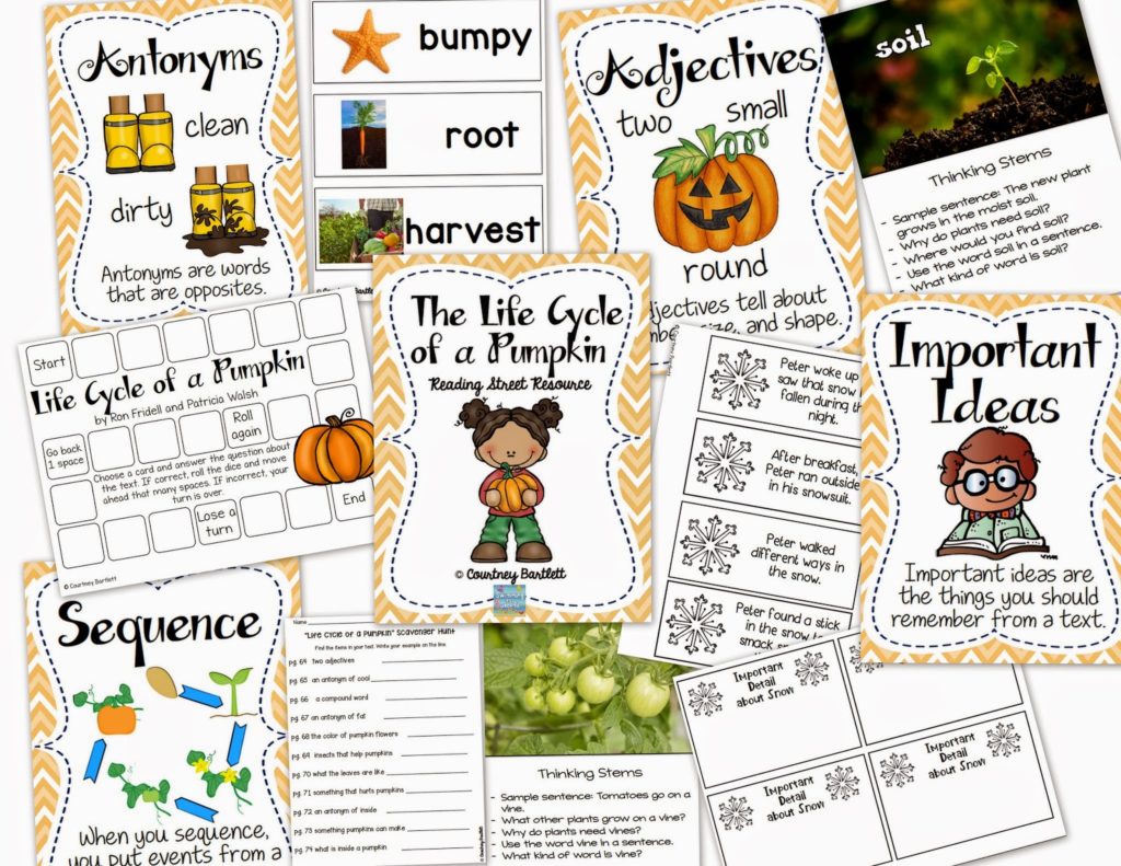 http://www.teacherspayteachers.com/Product/Life-Cycle-of-a-Pumpkin-Reading-Street-Resource-1620062